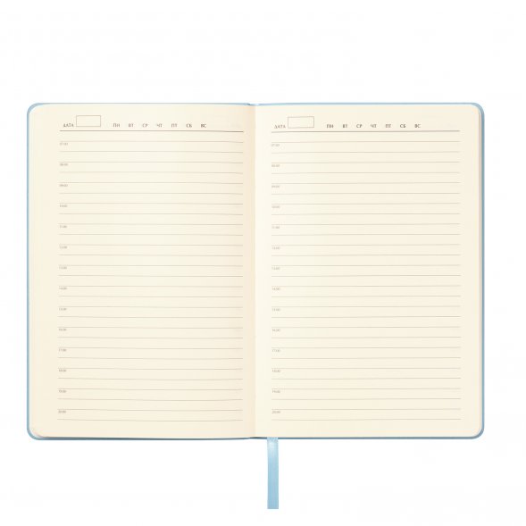Ежедневник Verona недатированный, голубой 