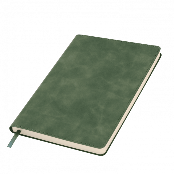 Ежедневник Verona недатированный, зеленый 