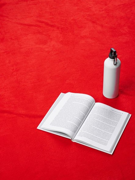 Дорожный плед Voyager 2, красный 