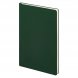 Ежедневник Spark недатированный, зеленый (с упаковкой, со стикерами) 