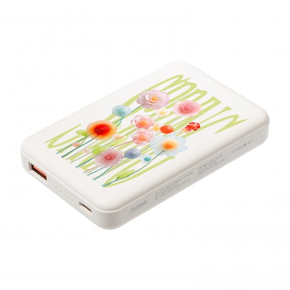 Внешний аккумулятор Largo PD 5000mAh с функцией беспроводной зарядки 15W, белый 