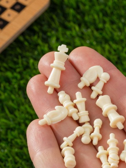 Шахматы дорожные Damier 