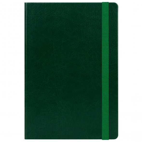 Ежедневник Voyage BtoBook недатированный, зеленый (без упаковки, без стикера) 