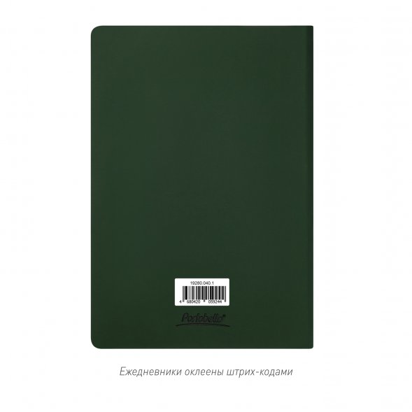 Ежедневник Spark недатированный, зеленый (без упаковки, без стикера) 