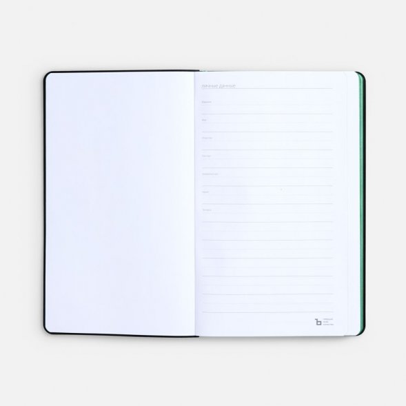 Ежедневник Nice Twice, недатированный, черный с ярко-зеленым 