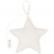 Декоративная подвеска Party Star 