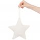 Декоративная подвеска Party Star 