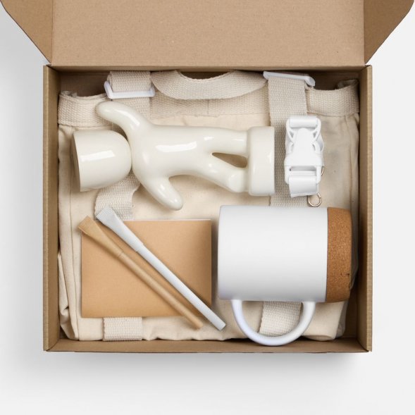 Набор Eco Sapiens Buddy 