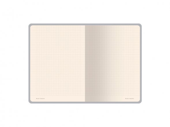 Бизнес тетрадь А5 Megapolis flex 60 л. soft touch клетка, красный 