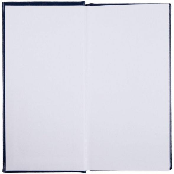 Еженедельник Baza, датированный, синий 