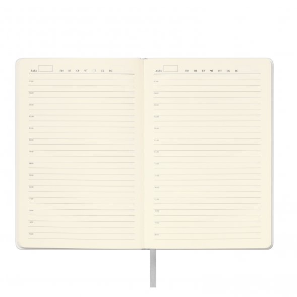 Ежедневник Spark недатированный, серебряный (с упаковкой, со стикерами) 