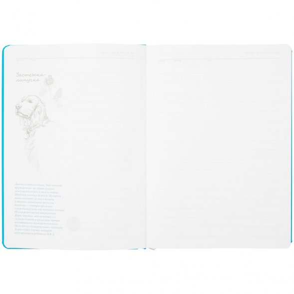 Ежедневник «История изобретений», недатированный, голубой 