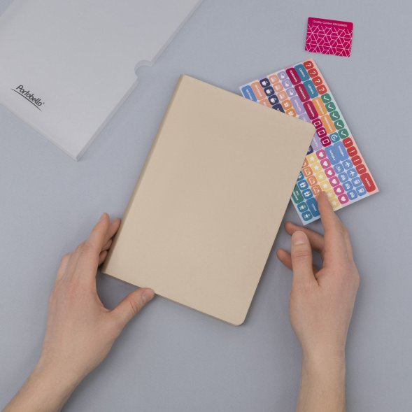 Ежедневник Spark недатированный, белое золото (с упаковкой, со стикерами) 