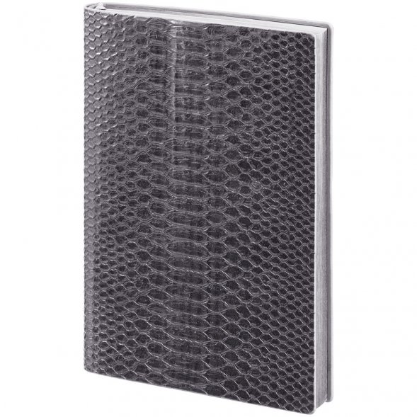 Ежедневник Anaconda, недатированный, серебристый 