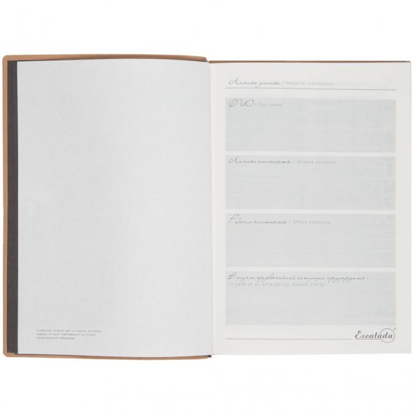 Ежедневник Anaconda, недатированный, серебристый 