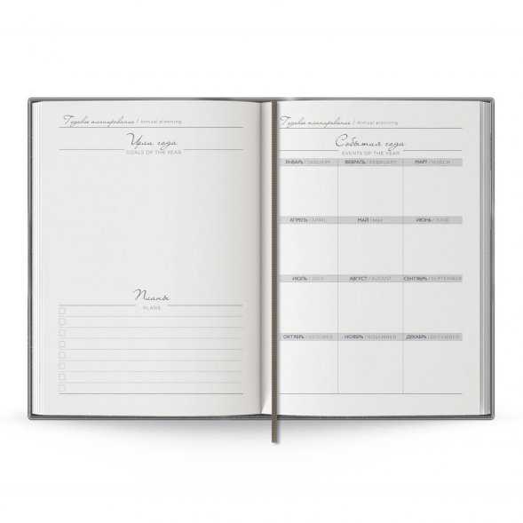 Ежедневник Anaconda, недатированный, серебристый 