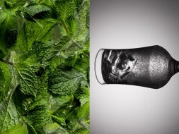 Бокал для пива Tulip