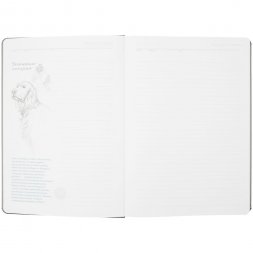 Ежедневник «История изобретений», недатированный, серый