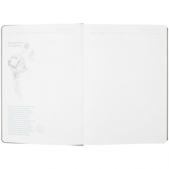 Ежедневник «История изобретений», недатированный, серый 