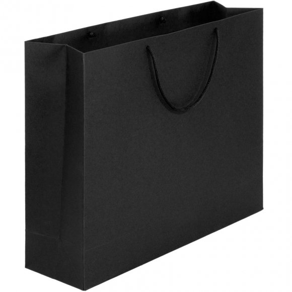 Пакет бумажный Ample Tote L, черный 