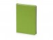 Ежедневник недатированный А5 Velvet, салатовый 