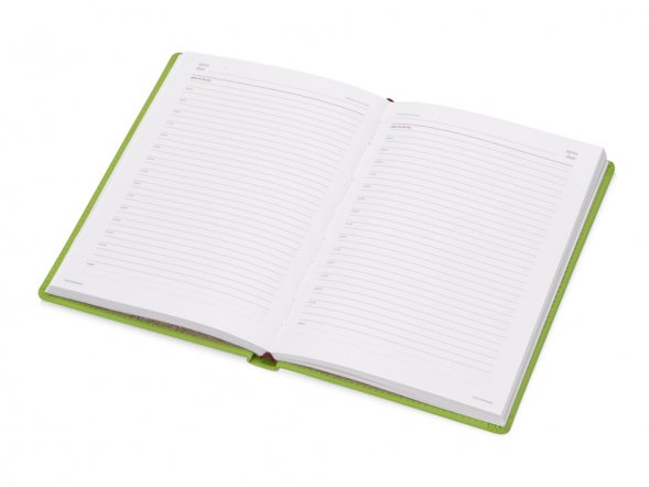 Ежедневник недатированный А5 Velvet, салатовый 