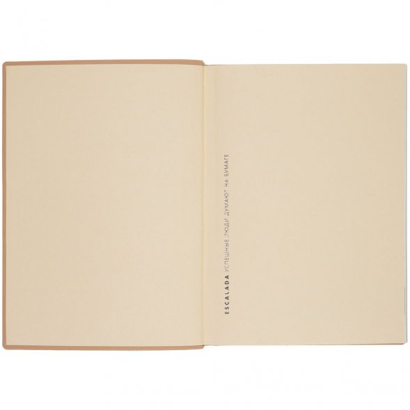 Ежедневник Anaconda, недатированный, золотистый 