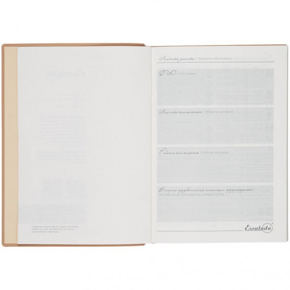 Ежедневник Anaconda, недатированный, золотистый 