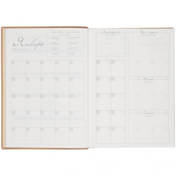 Ежедневник Anaconda, недатированный, золотистый 