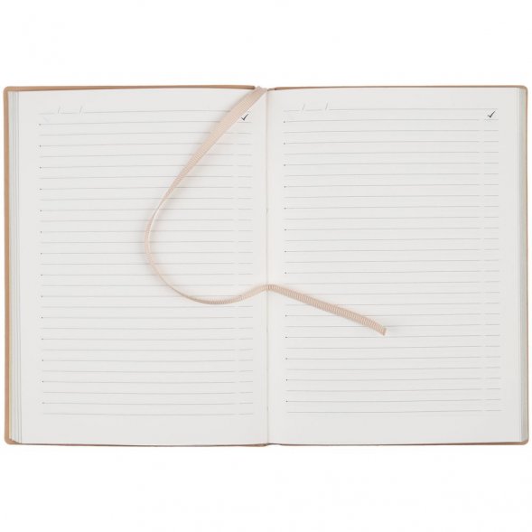 Ежедневник Anaconda, недатированный, золотистый 