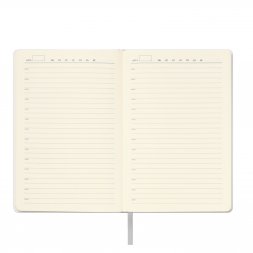 Ежедневник Spark недатированный, серебряный (без упаковки, без стикера)