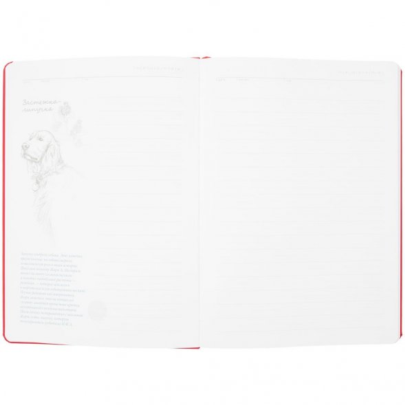 Ежедневник «История изобретений», недатированный, красный 