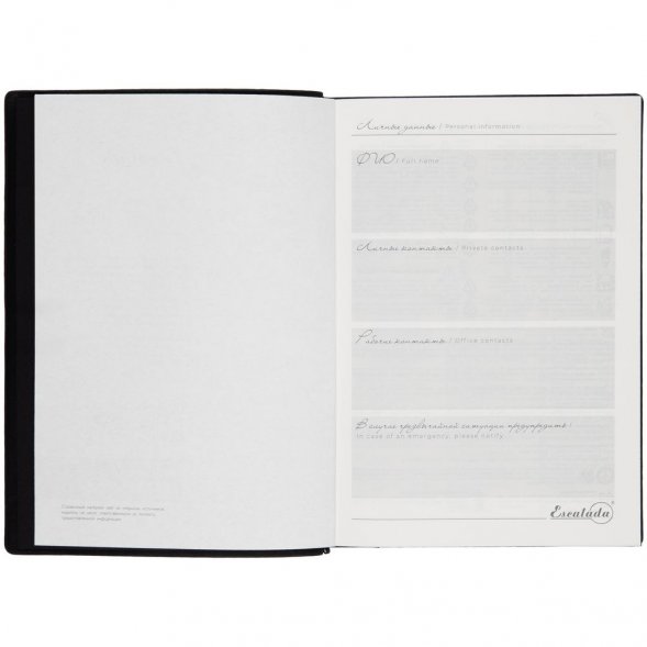 Ежедневник Anaconda, недатированный, серый 