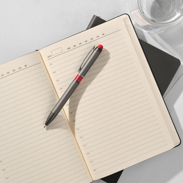 Шариковая ручка IP Chameleon, красная 