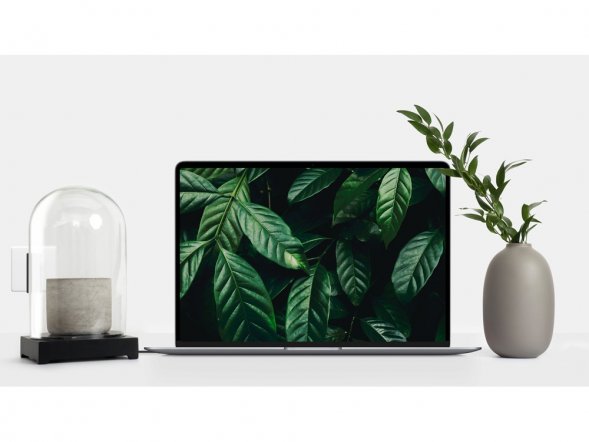 Сетевое зарядное устройство Rombica NEO Z Type-C 60 