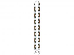 Ланъярд с 2-мя карабинами