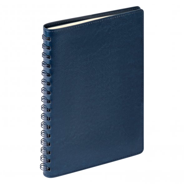 Ежедневник Vista Neo недатированный, синий 
