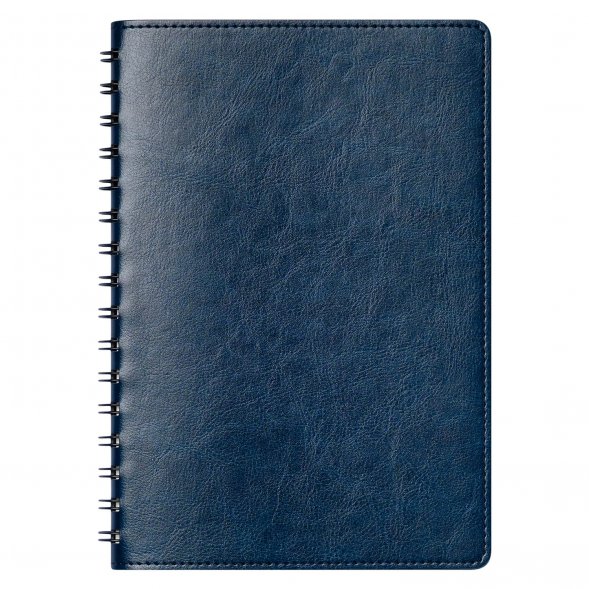 Ежедневник Vista Neo недатированный, синий 
