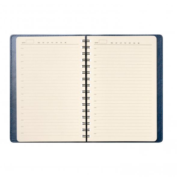 Ежедневник Vista Neo недатированный, синий 