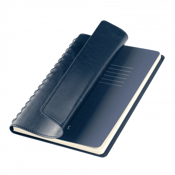 Ежедневник Vista Neo недатированный, синий 