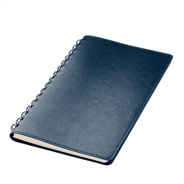 Ежедневник Vista Neo недатированный, синий 