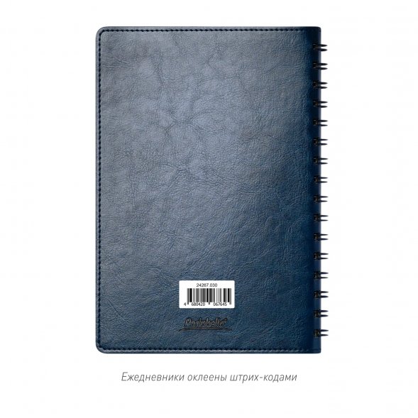 Ежедневник Vista Neo недатированный, синий 