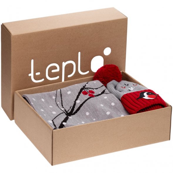 Коробка Teplo, большая, крафт 
