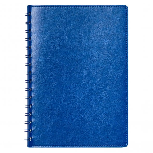 Ежедневник Vista Neo недатированный, ярко-синий 