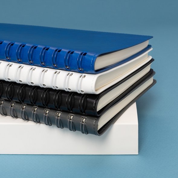 Ежедневник Vista Neo недатированный, белый 