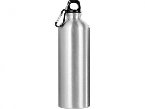 Бутылка Hip M с карабином, 770 мл, серебристый (Р) 