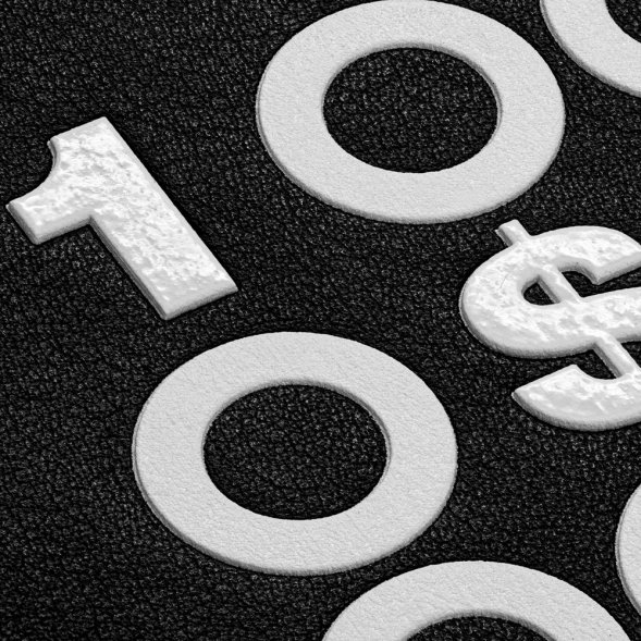 Ежедневник «Финансовая грамотность», недатированный, черно-белый 