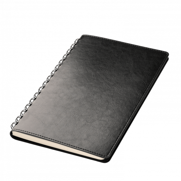 Ежедневник Vista Neo недатированный, черный 