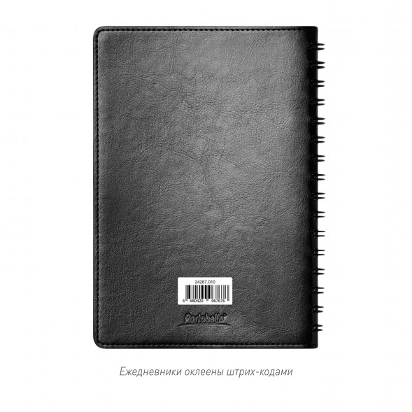 Ежедневник Vista Neo недатированный, черный 