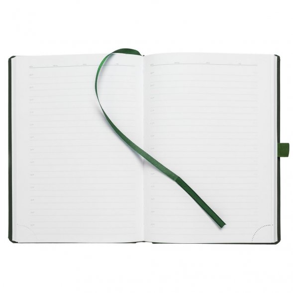 Ежедневник Favor Metal, недатированный, зеленый 